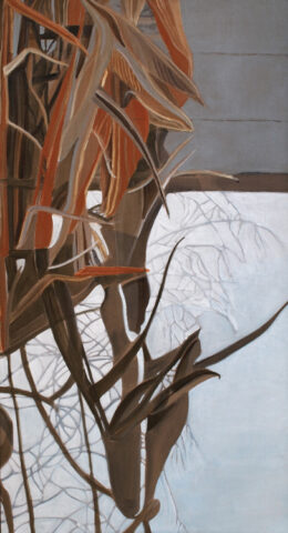 Reeds and reflexions | 75 x 40 cm | acrylic on canvas